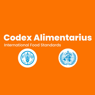 1_codex