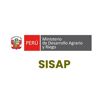 29_sisap